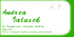 andrea valusek business card